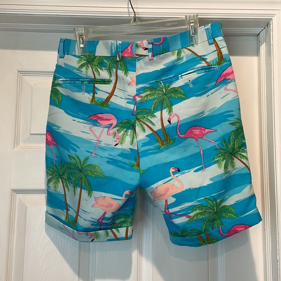 Tropical Flamingo Shorts - Picture 2 of 2